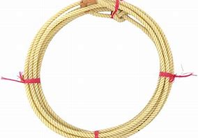 Image result for Lasso Rope