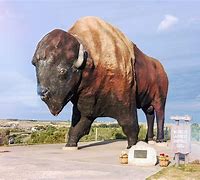 Image result for Largest Thing in the World