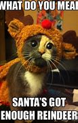 Image result for Merry Christmas Funniest Meme