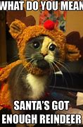 Image result for Merry Christmas Funny Sarcastic Meme
