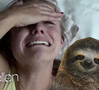 Image result for Bell Sloth