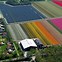 Image result for Aerial View of Tulip Fields in Netherlands