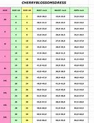 Image result for Women's Jeans Size Chart