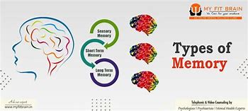 Image result for Nine Different Images for Memory