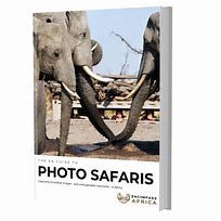 Image result for Photographic Safaris