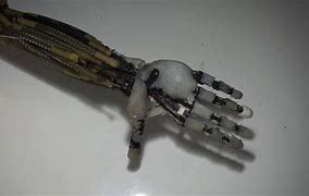 Image result for Modern Robotic Arm Fake Muscle