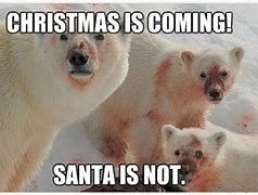 Image result for Best Christmas Memes