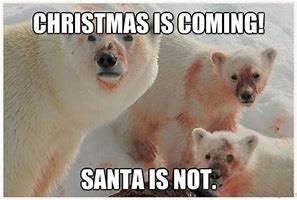 Image result for Funny Adult Christmas Memes
