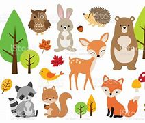 Image result for Woodland Animal Illustrations