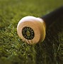 Image result for Painting a Baseball Bat