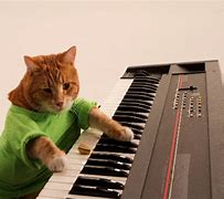 Image result for Cat Sitting On Keyboard Meme