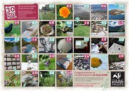 Image result for 30 Days Wild Activity Ideas