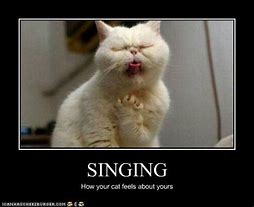 Image result for Singing Animal Memes Funny