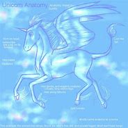 Image result for Unicorn Anatomy