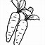 Image result for Carrot