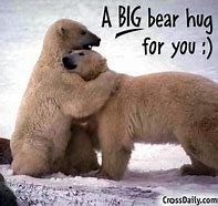 Image result for Animal Hug Meme