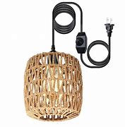 Image result for Plug in Hanging Lamp