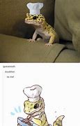 Image result for Gecko Furry Age Meme
