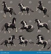 Image result for Gypsy Horse Background in Cartoon
