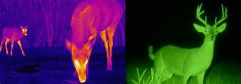 Image result for Infrared vs Thermal Imaging Camera
