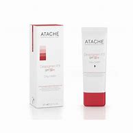 Image result for atache