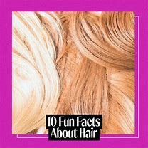 Image result for Fun Facts About Hair