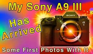 Image result for Sony Alpha A9 Menu