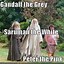 Image result for Saruman Funny Memes