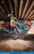 Image result for Mountain Bike Cyclist