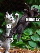 Image result for Cat People Meme Monday