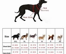 Image result for Measure Dog for Harness