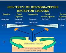 Image result for Gaba Receptors Benzodiazepines
