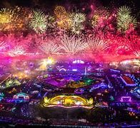 Image result for EDC Concert