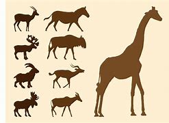 Image result for Animal Silhouette Vector