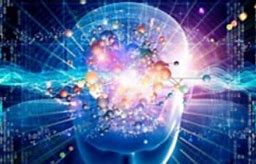 Image result for Brain Expanding Meme Template Psychedelics