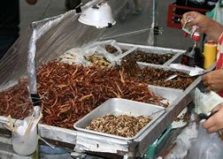Image result for Crickets in Food