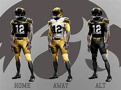 Image result for Iowa Hawkeyes Football Uniforms