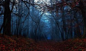 Image result for Dark Spooky HD Forest Wallpaper