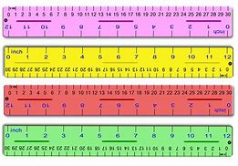 Image result for What Is a Centimeter