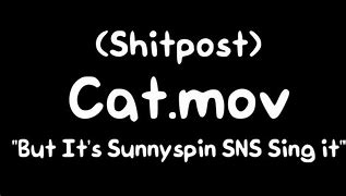 Image result for Shitpost Meme Cat