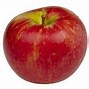 Image result for Honeycrisp Apple Tree Seedling