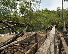 Image result for Wildlife Refuges in Costa Rica