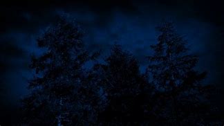Image result for Stormy Nights Swaying Trees