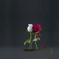 Image result for Picture of a Rose for a PFP