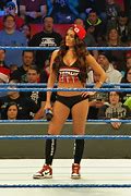 Image result for WWE Nikki Bella Costume