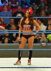 Image result for WWE Nikki Bella Christmas