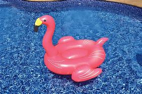 Image result for Old Lady in Pink Flamingo Pool Float