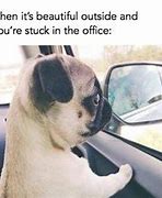 Image result for Funny Out of Office Meme