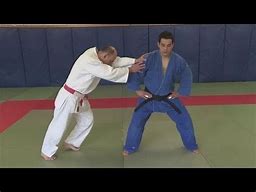 Image result for Judo Stance