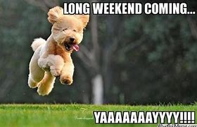 Image result for Bring On the Weekend Meme